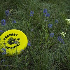 Başlangıç Seviyesi Ultimate Frisbee Kuralları: Kendi Kendini Yöneten Bir Spor Nasıl İşler?